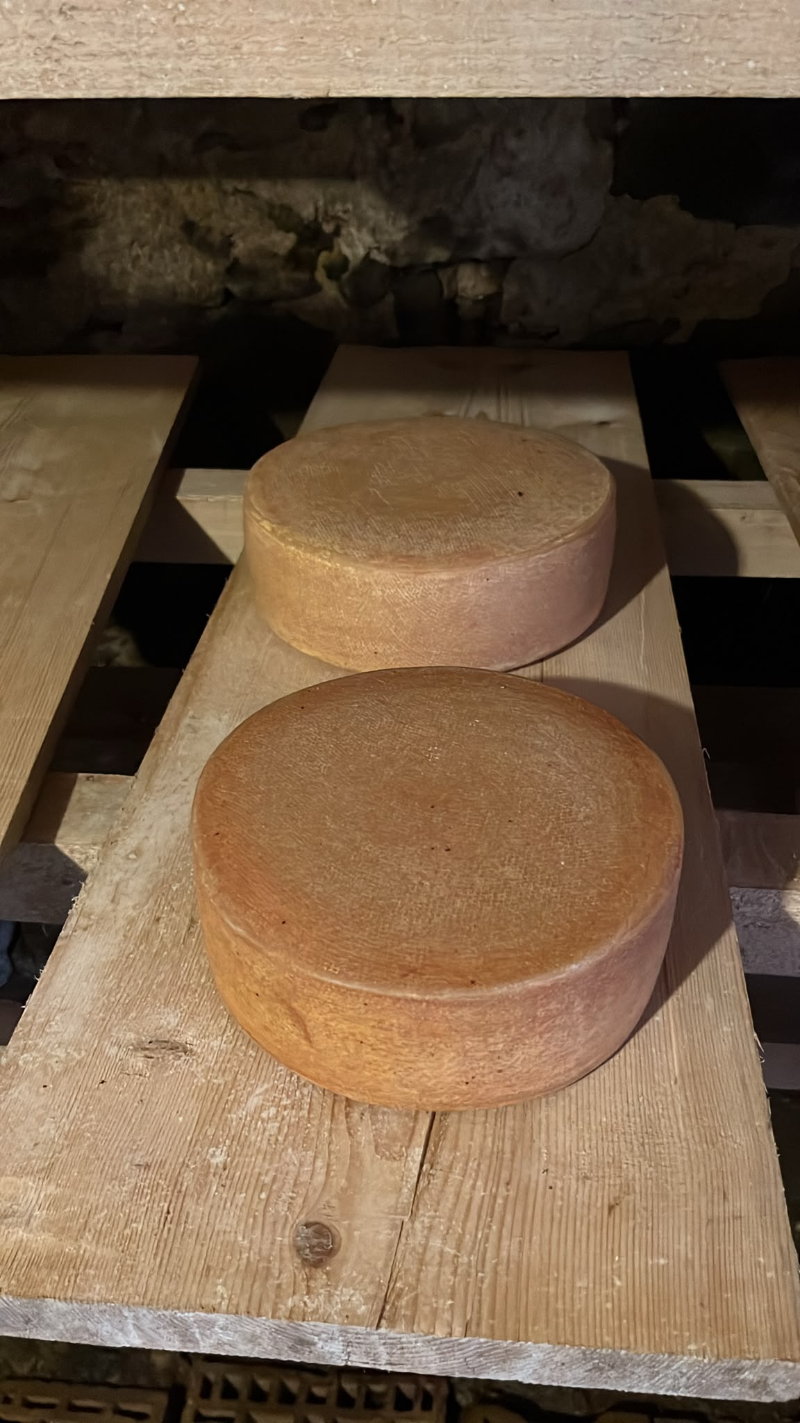 Käse von der Alp